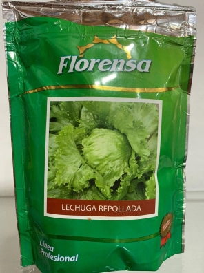 LECHUGA REPOLLADA (BATAVIA BLANCA) X 250 GRS